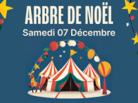 Arbre de Noël, Un spectacle magique vous attend !